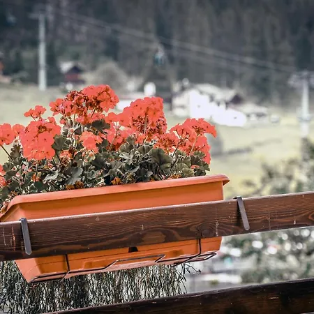 Du Lys & Gressoney-la-Trinité