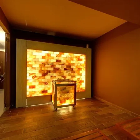Hotel Du Lys Hotel&spa