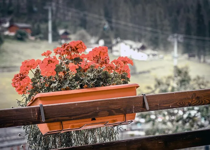 Du Lys & Gressoney-La-Trinite