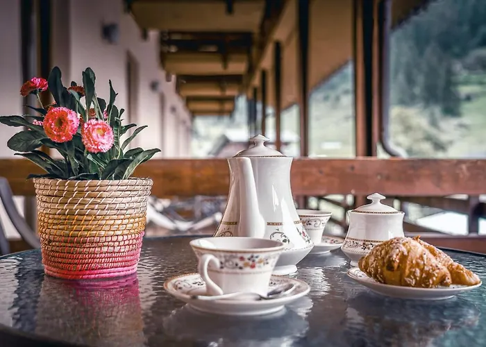 Du Lys & Hotel Gressoney-La-Trinite